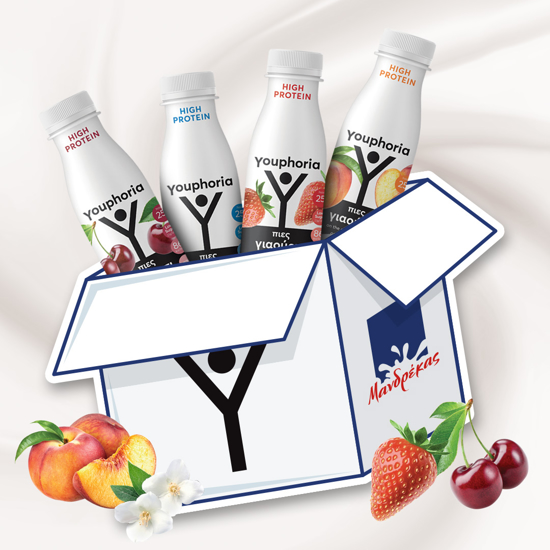 Εικόνα της Youphoria High Protein – Box